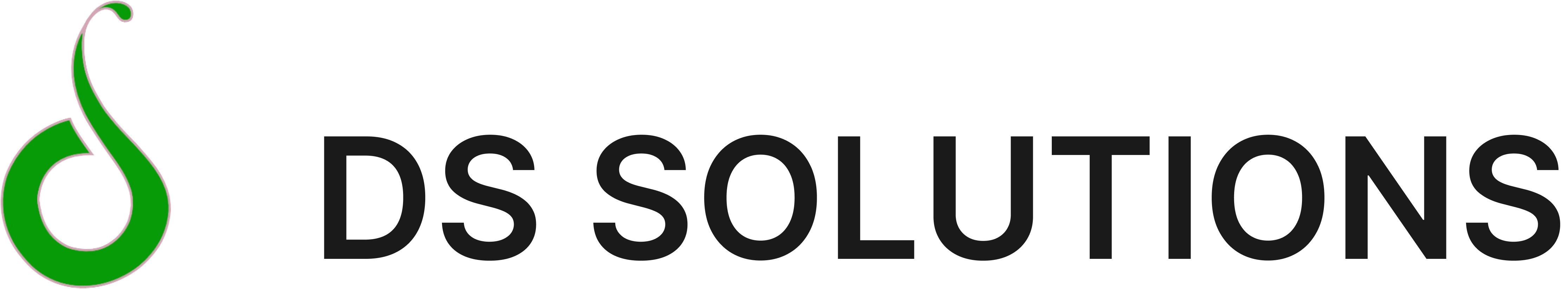 DS Solutions Logo